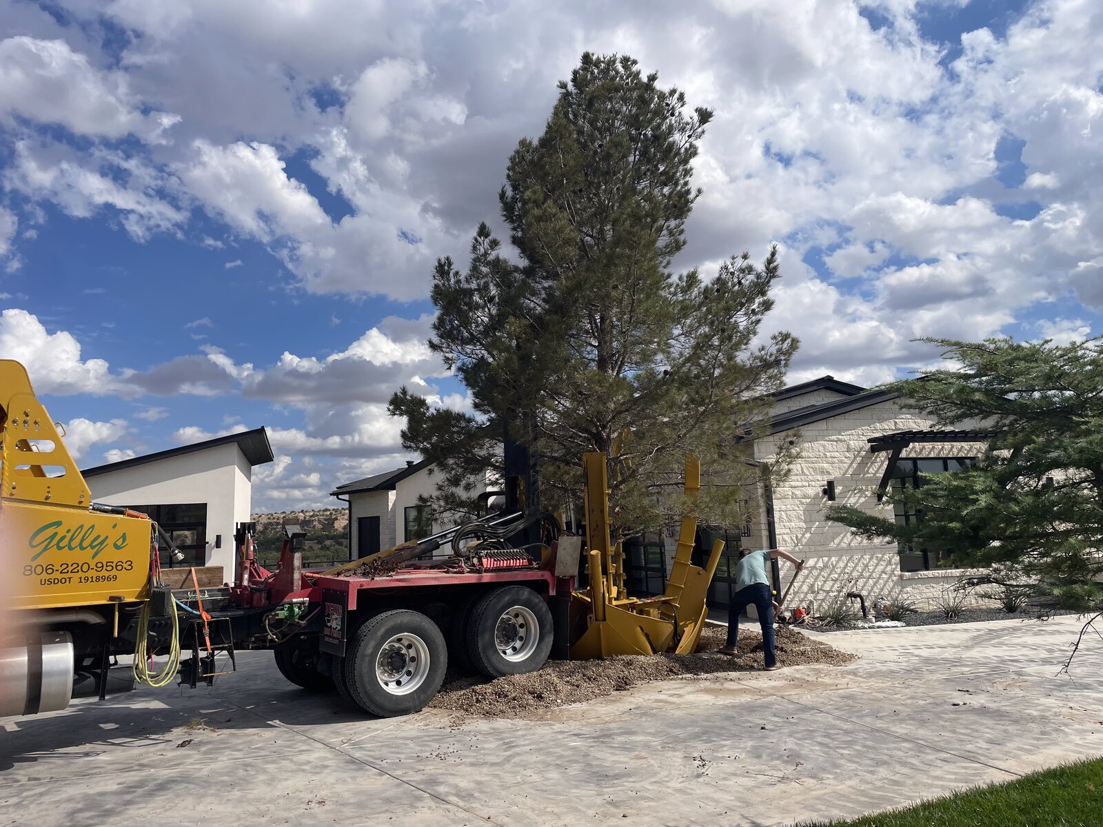 Gilly's Trees crew installing a tree at a modern home