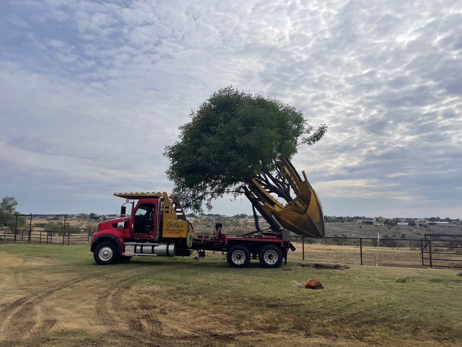 Gilly's Trees truck with hydraulic tree spade carrying a tree
